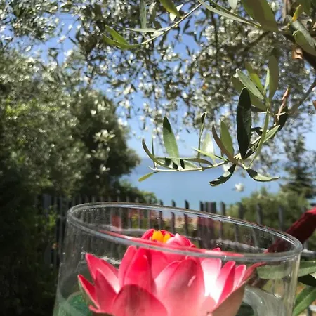 Отель Sunset Gl 3*